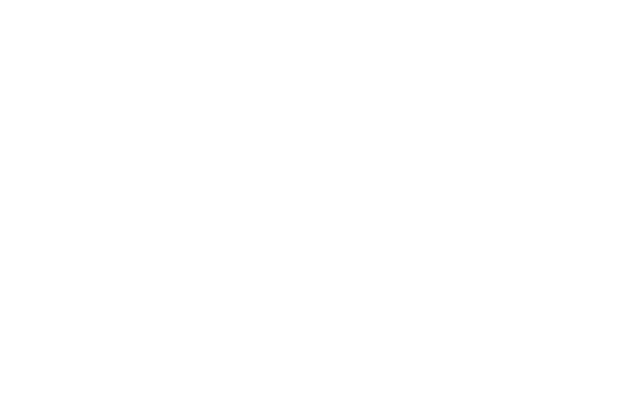 Wonderlink